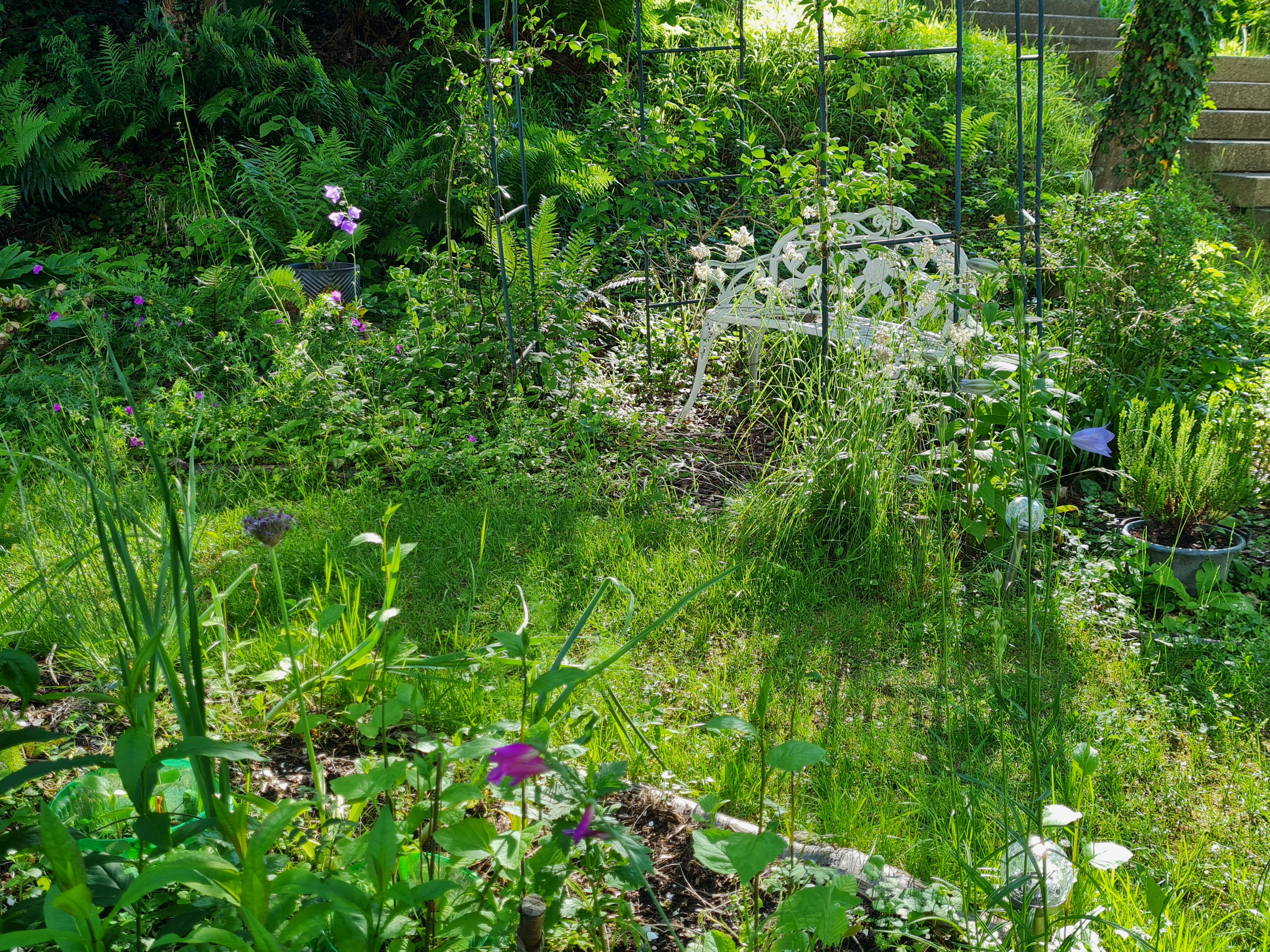 Eine Wohltat an heissen Tagen - hier in einem Garten in Wetzikon