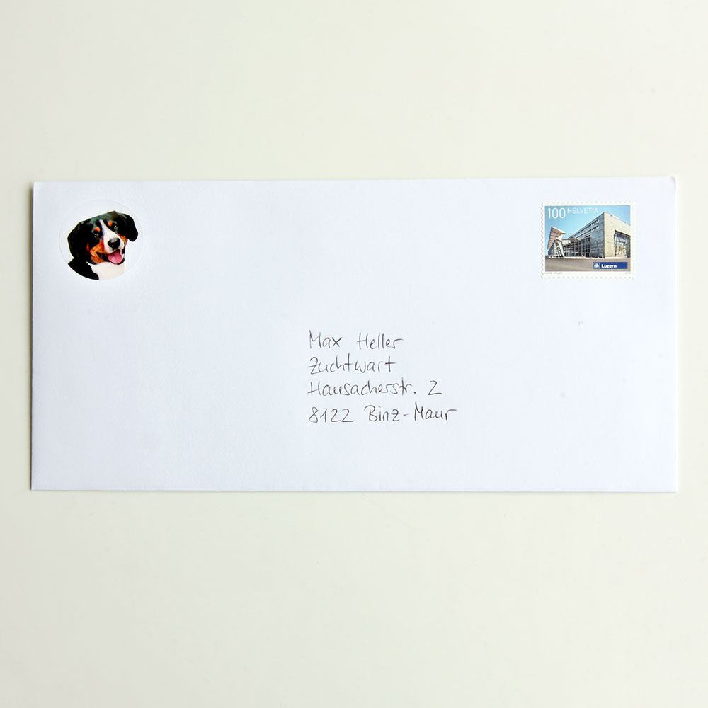 Briefaufkleber «Entlebucher Sennenhund»