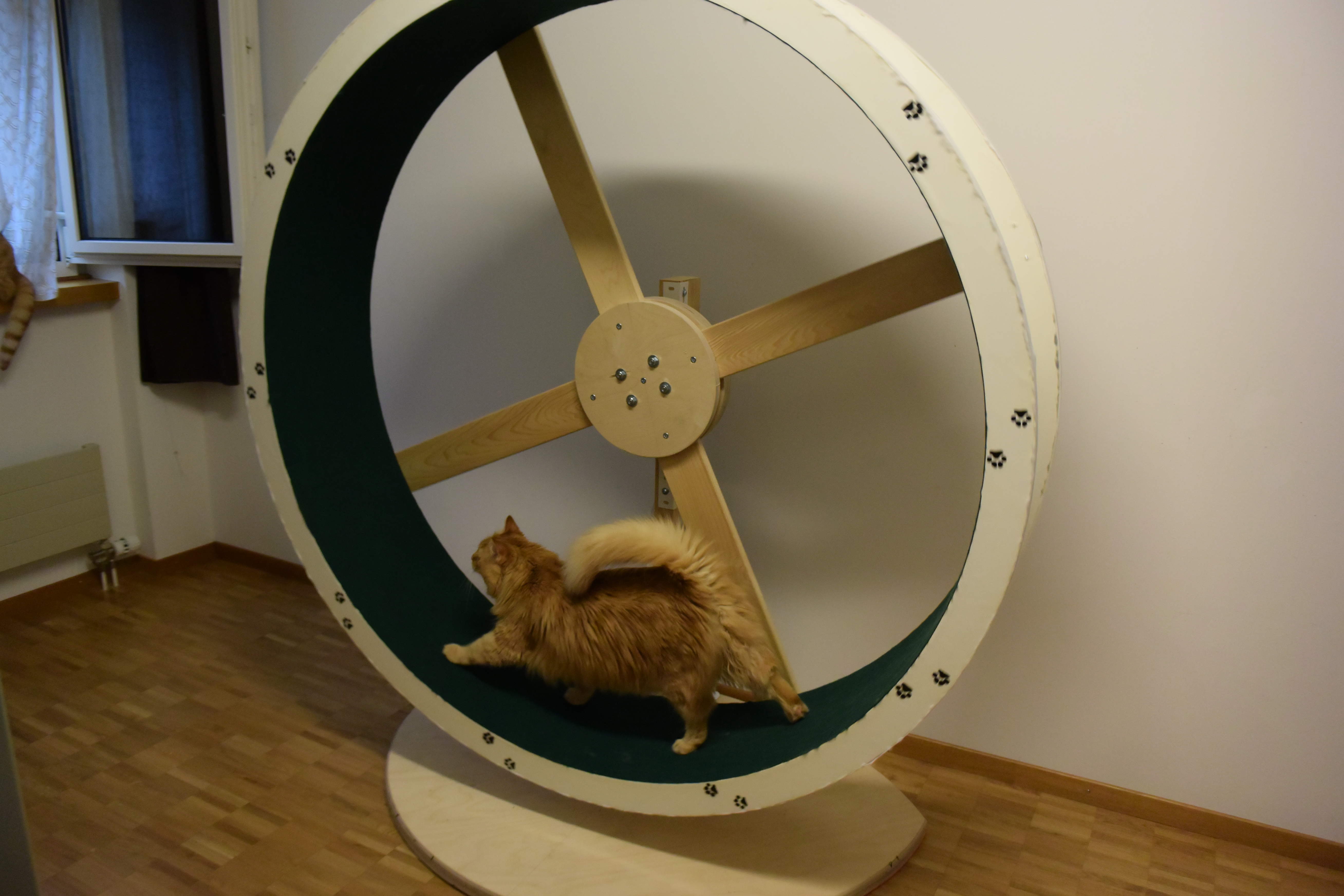 Cat Wheel 1.1 Update