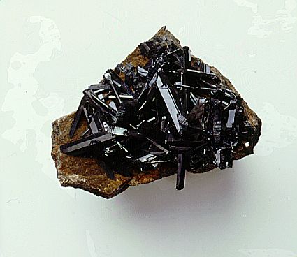Ferrum phosphoricum Similibus-Bio-Chip