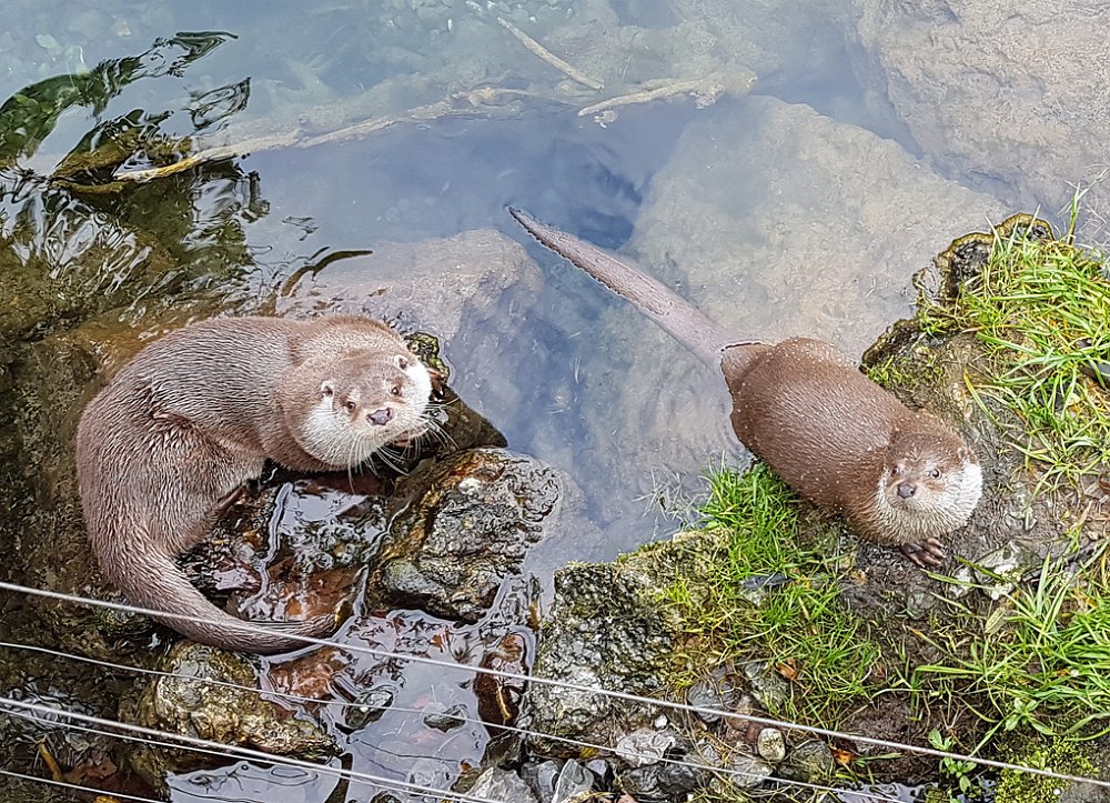 Tierpark Goldau