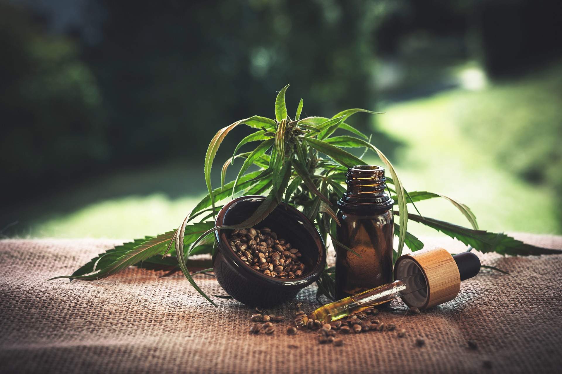 CBD (Cannabidiol) Produkte - ein Wunder der Natur