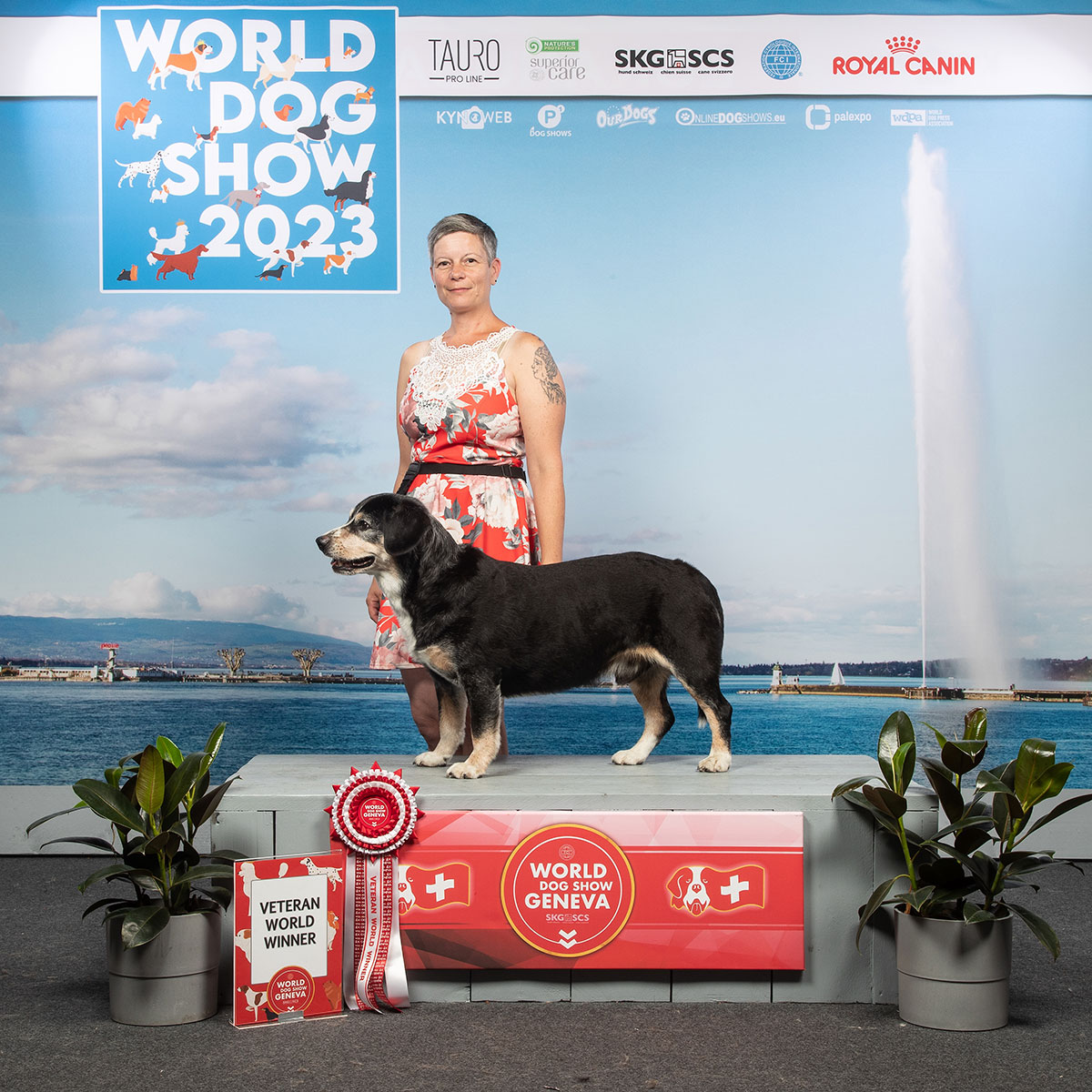 World Dog Show Genf 2023: ‹V1 CACIB/CAC Veteran› und ‹Veteran World Winner 2023›.