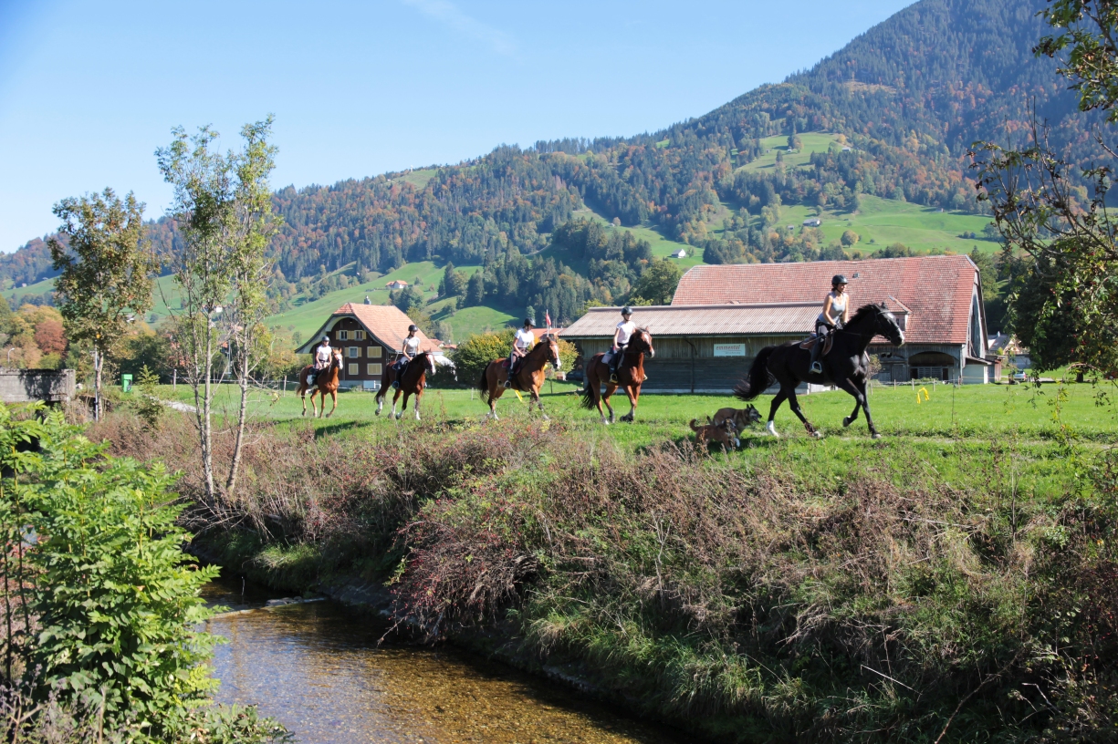 Eine Gruppe junger Reiterinnen im Galopp unterwegs in der Region Schüpfheim.