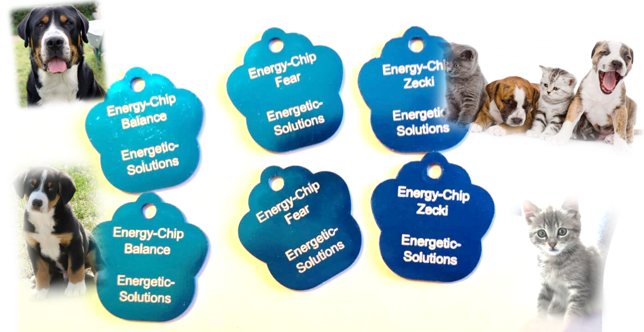Energy-Chip für Tiere / Zecki