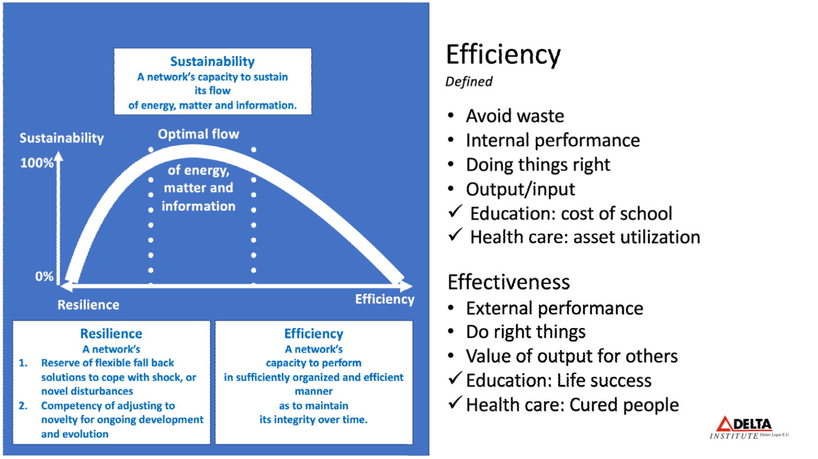 The Law of Sustainability by Lietaer - What is efficiency?