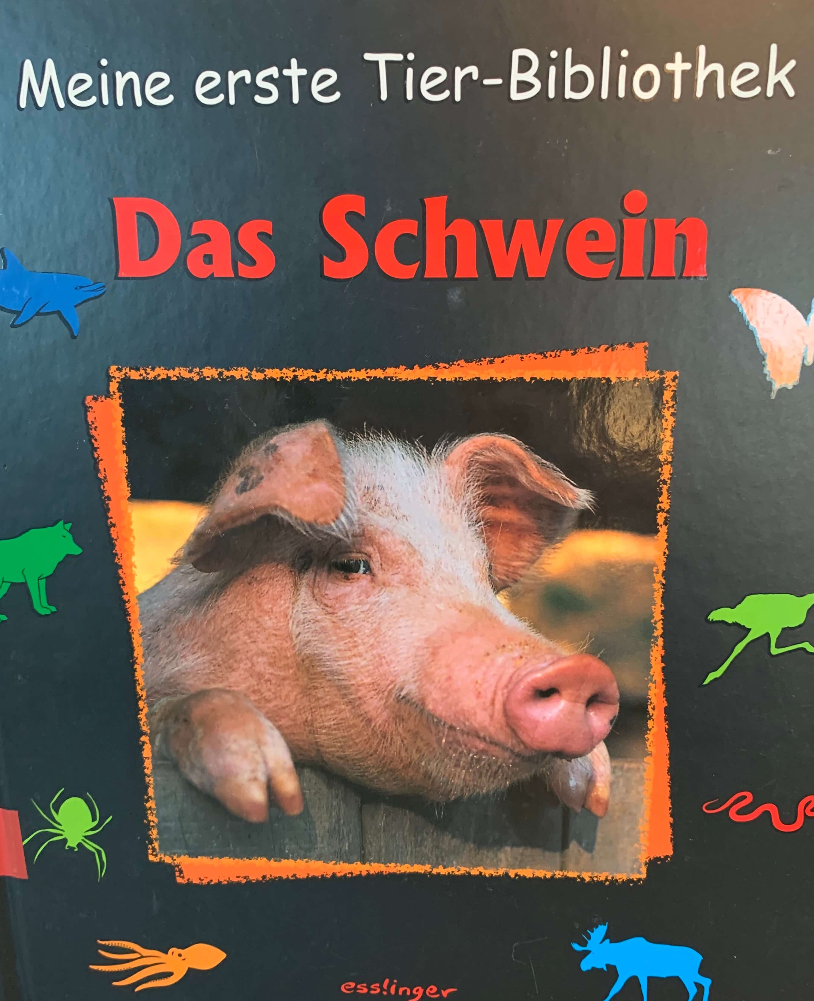 Meine erste Tier-Bibliothek - Das Schwein