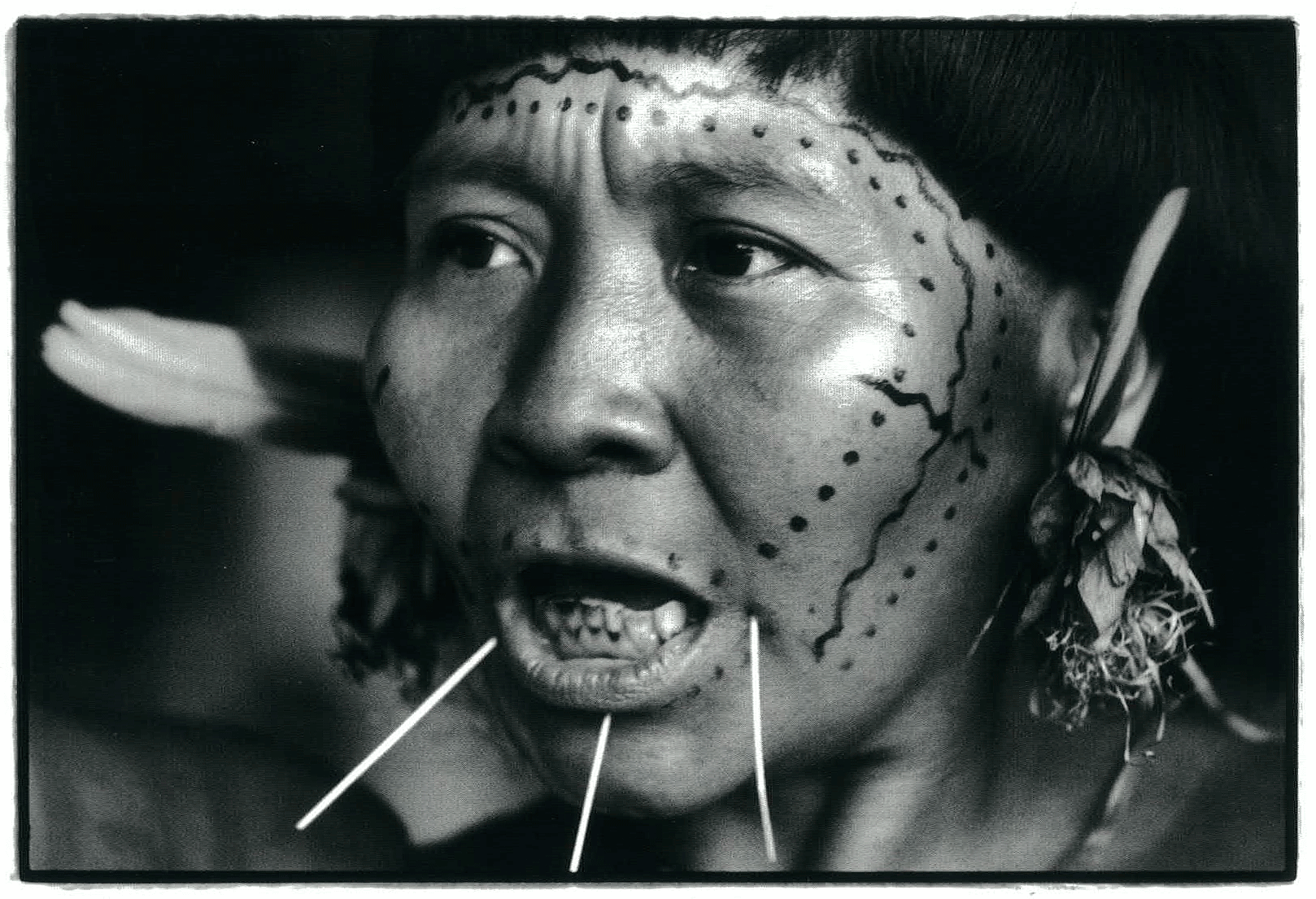 Yanomami, Oswald Iten,