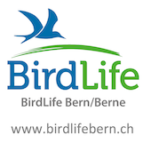 BirdLifeBern-1png