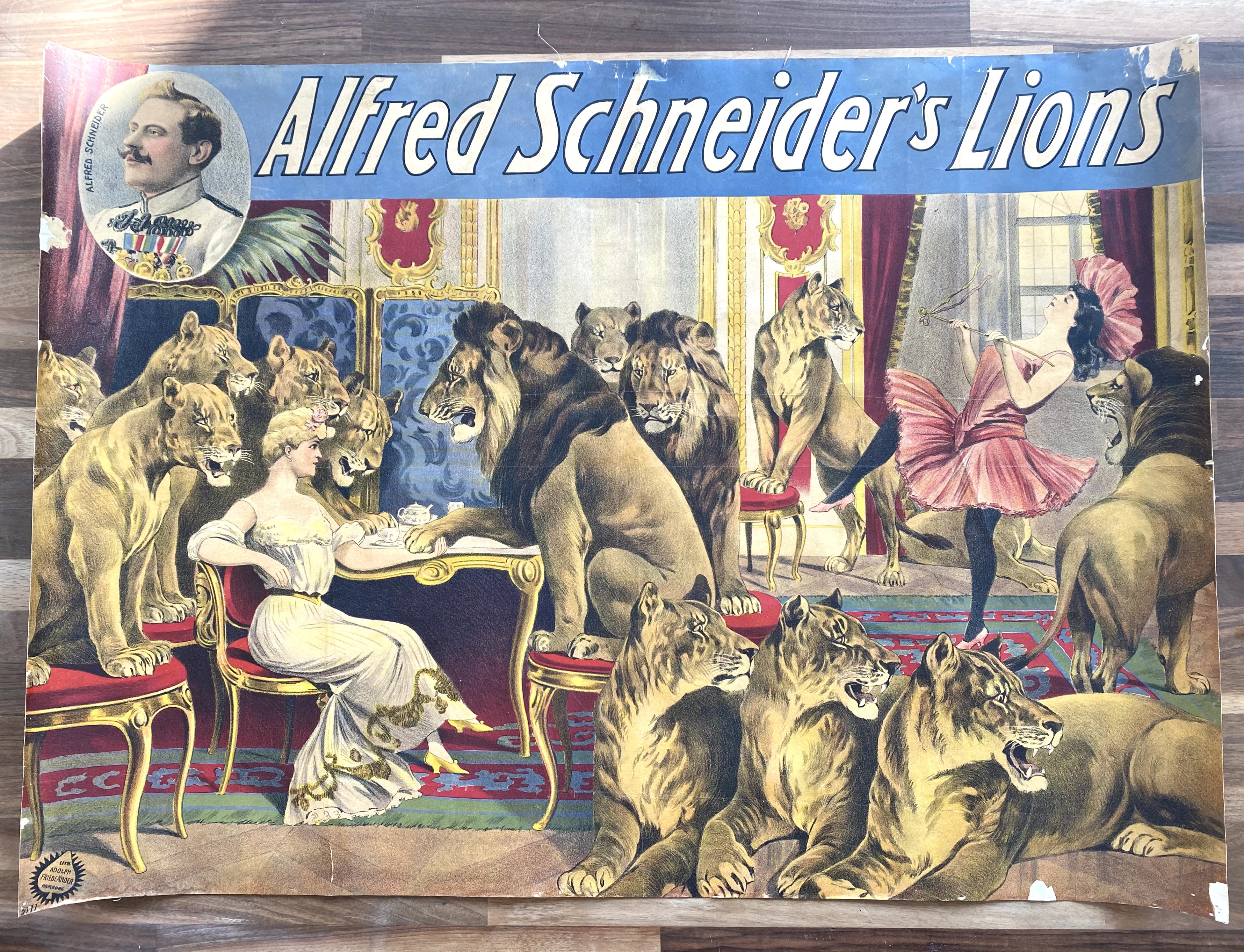 Antikes Plakat Alfred Schneiders Löwen um 1900