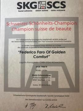 20190630-federico faro of golden comfort swiss Championjpg