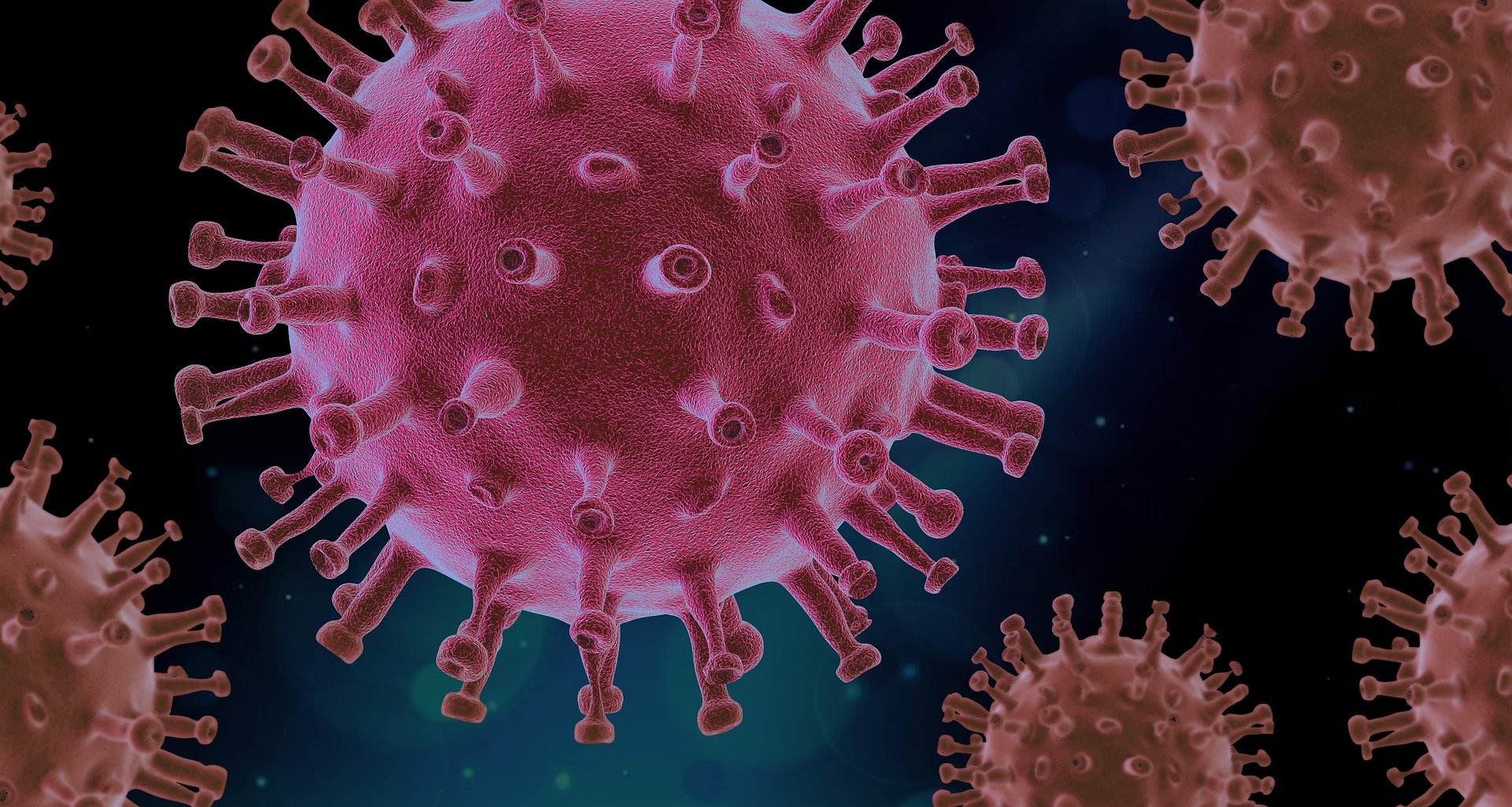 Update: Information zum Coronavirus (COVID-19)