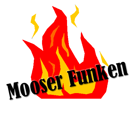 mooserfunken.ch