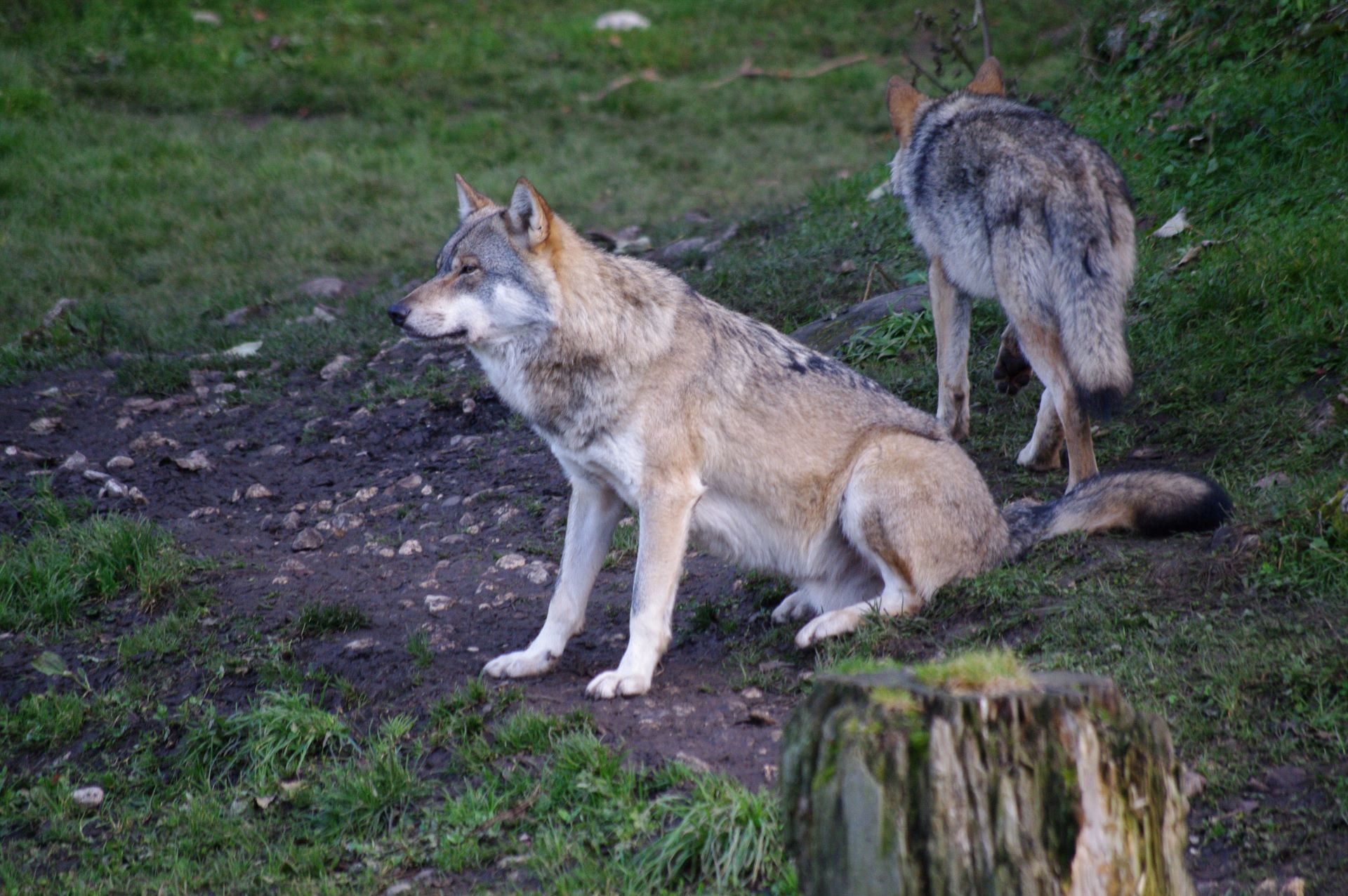 Langsam aber sicher steigt das Hungergefühl