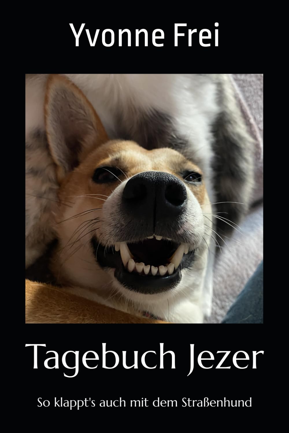 Buch: Tagebuch Jezer