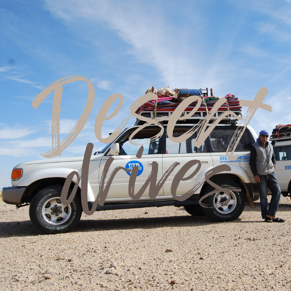 DesertDrive