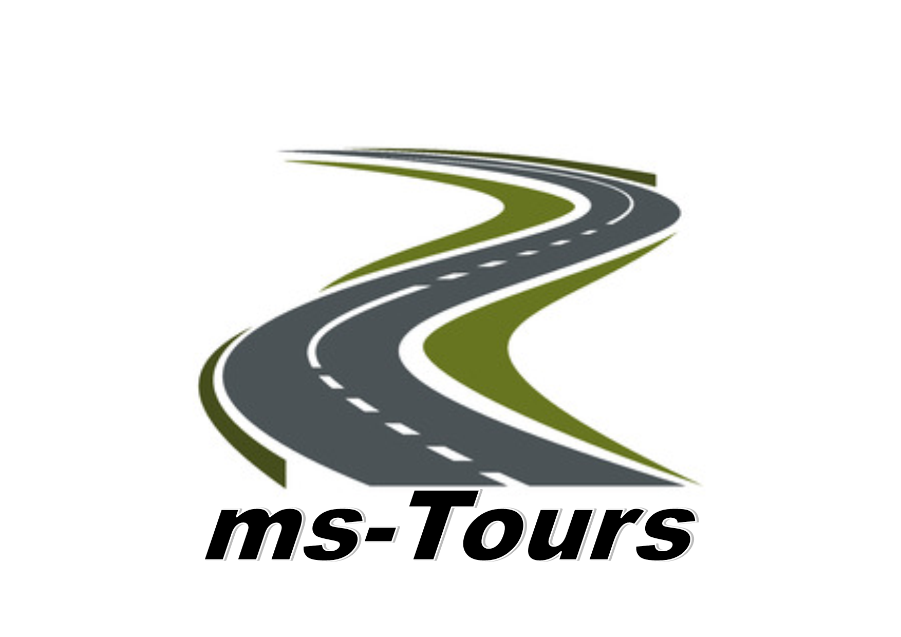 ms-tours.ch