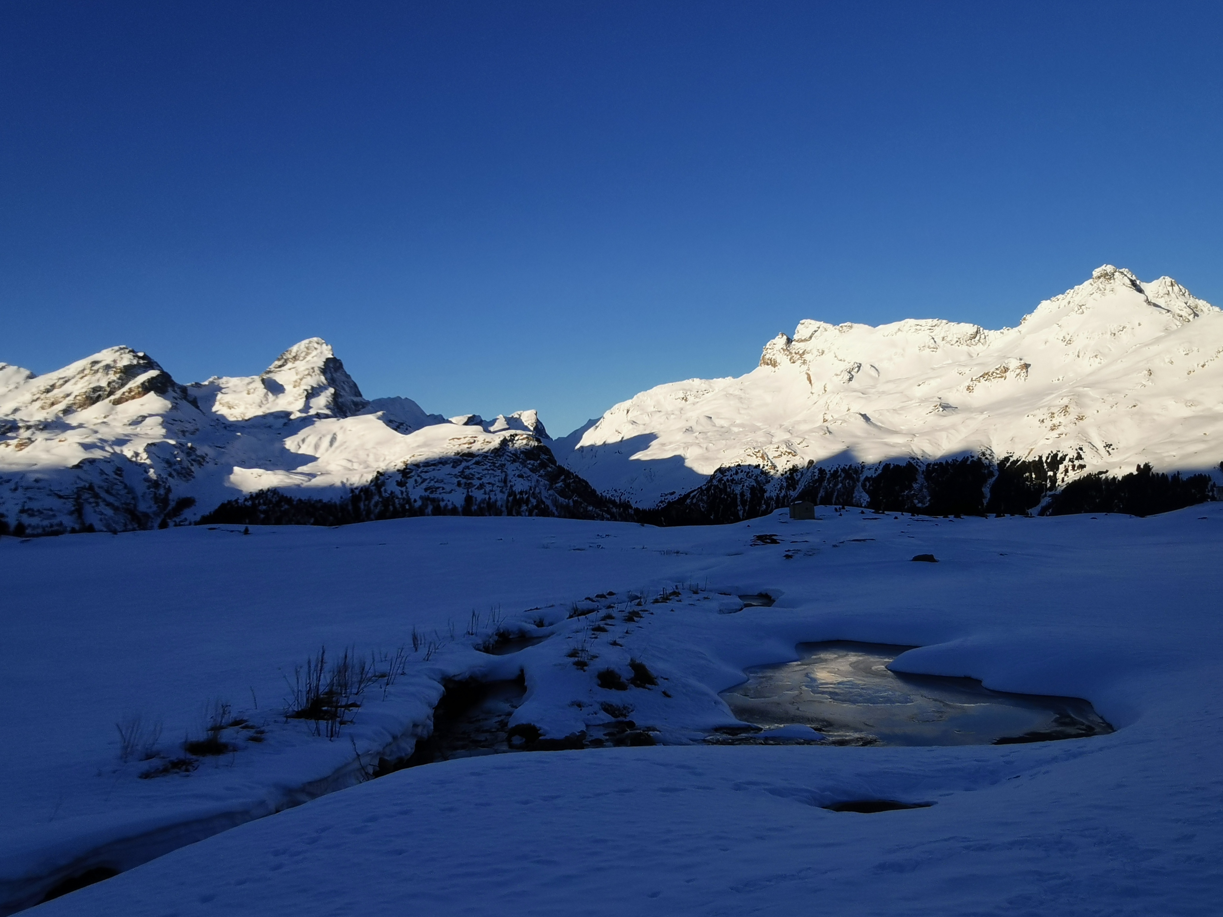 Schneeschuhwandern auf der Alp Flix