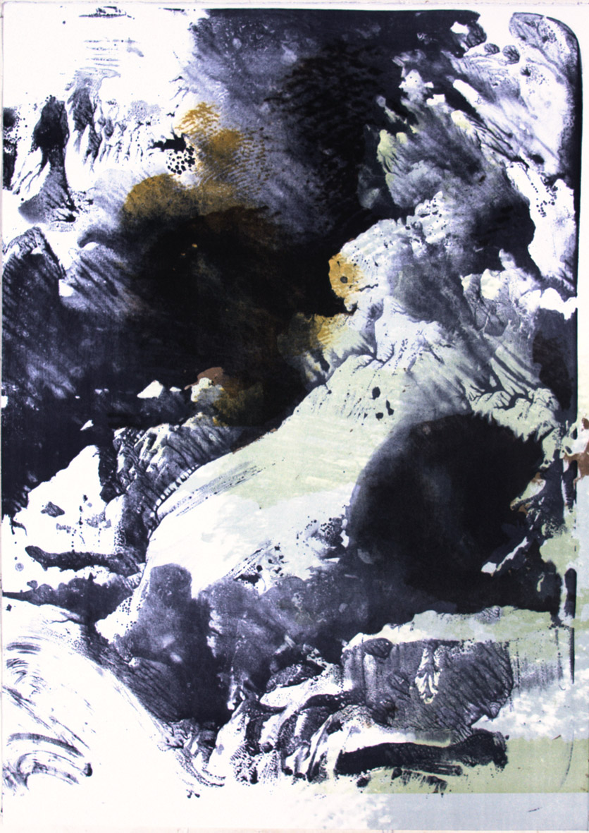Landscapes (2010; 10-4). 105 x 75 cm.