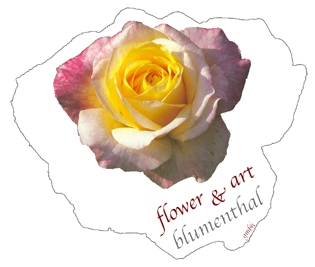 flower & art blumenthal gmbh