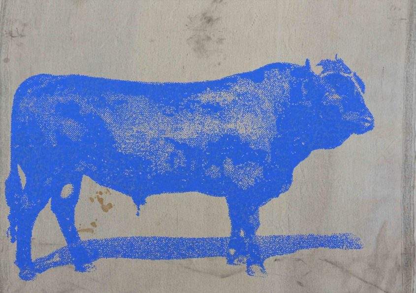 Bœuf bleu, 200x150, Acryl auf Stoff