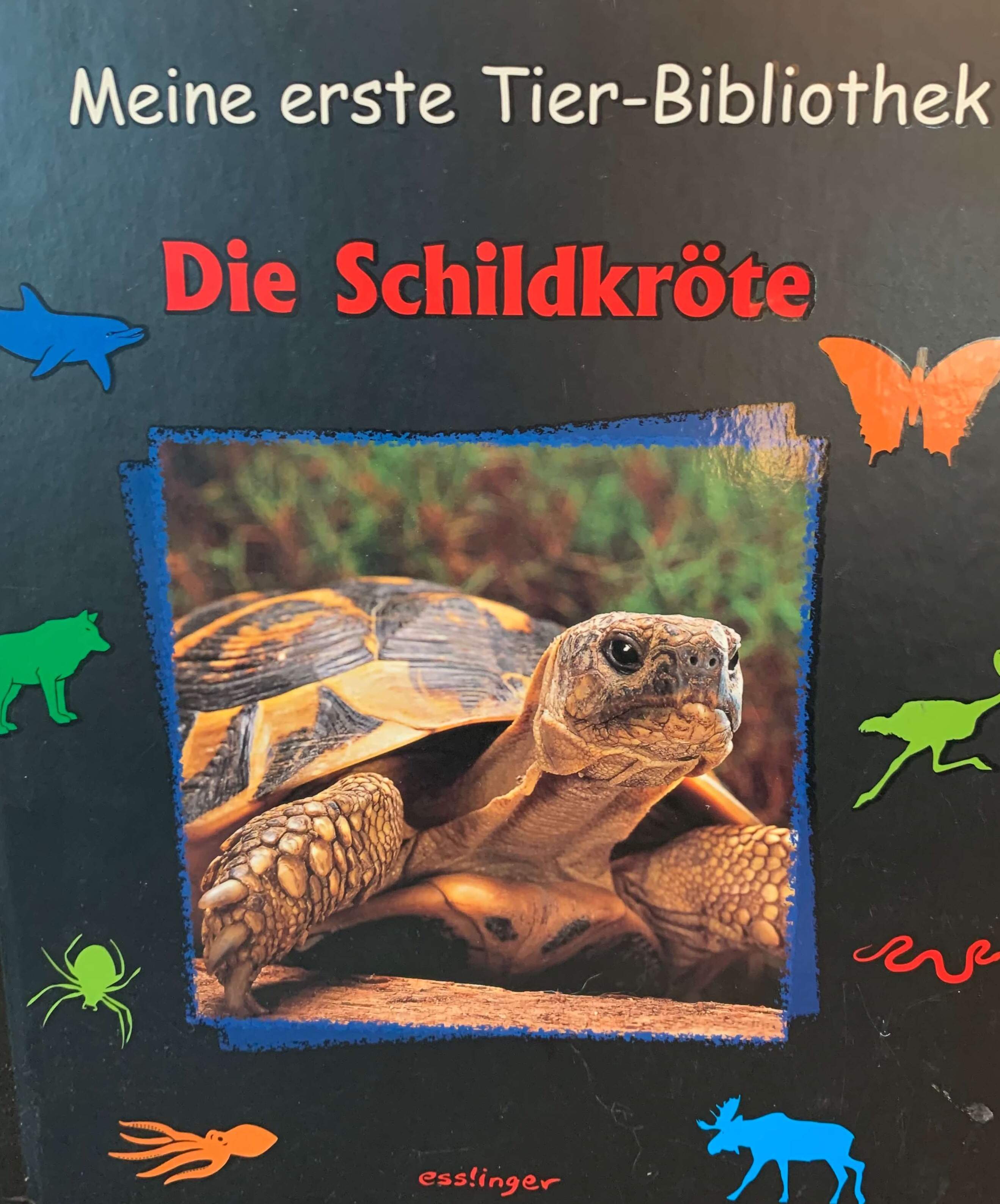 Meine erste Tier-Bibliothek - Die Schildkröte