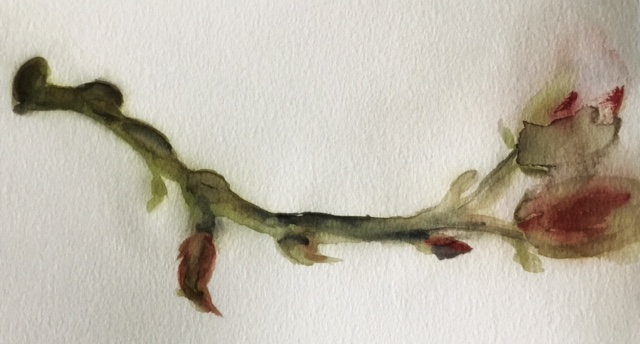 Aquarell auf Papier / Watercolour on paper, 22 x 11 cm/8,6 x 4,3 inch