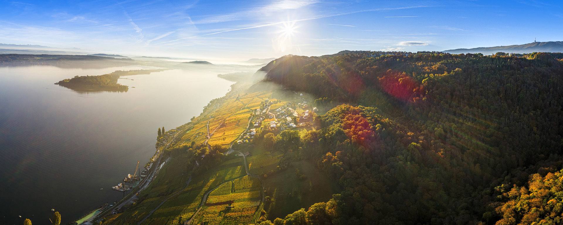 Rebberge am Bielersee- Lac de Bienne