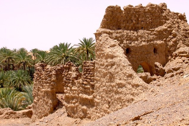Eines der vielen Omani Castle Rustico