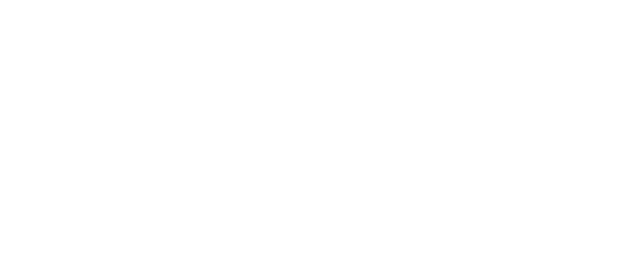 Pierre Du Pasquier Business publishing
