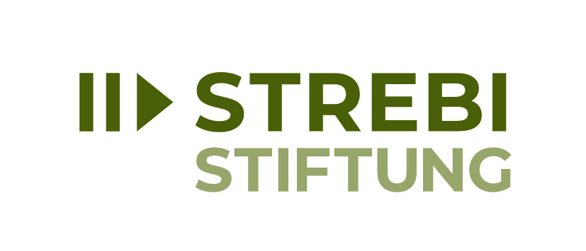 Logo_Strebi_Stiftung_cmykjpg