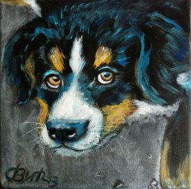 Berner Sennenhund Welpe  Acryl 20 x 20 cm
