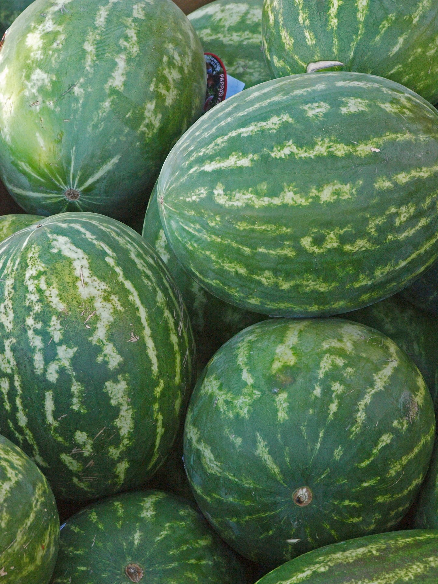 Melonen gut verpacken - in der Schwangerschaft und auch nach der Geburt