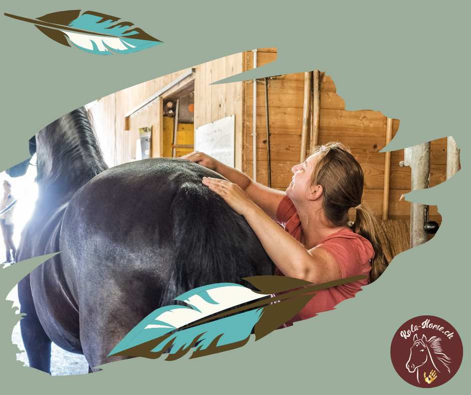 2. Ausbildungstag Tier-Shiatsu-Therapeutin – Sicherheit am Pferd und viel Praxis