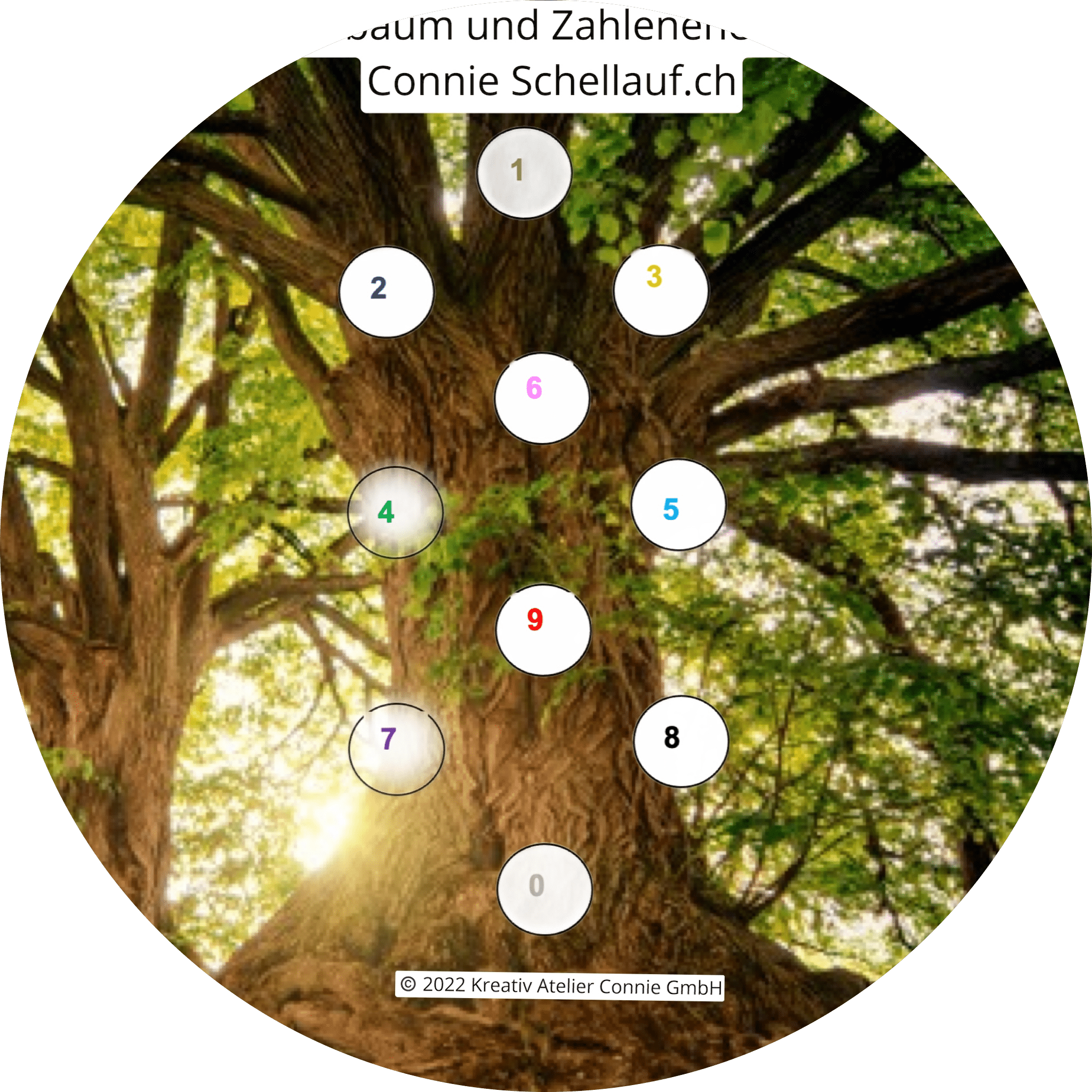 Lebensbaum Numerologie Seminar mit Connie Schellauf.ch