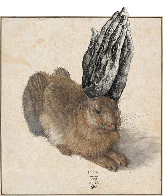 Dürers betender Hase
