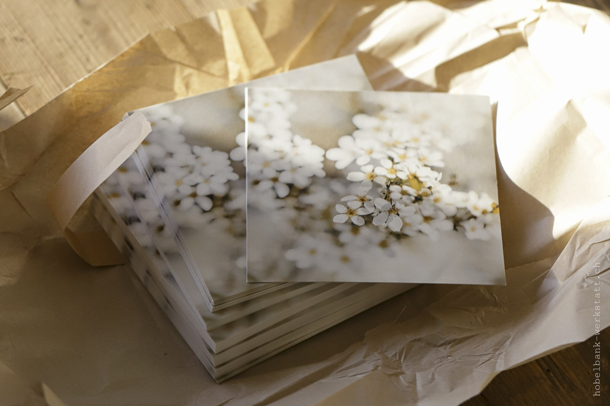 Blütenpracht Fotokarte