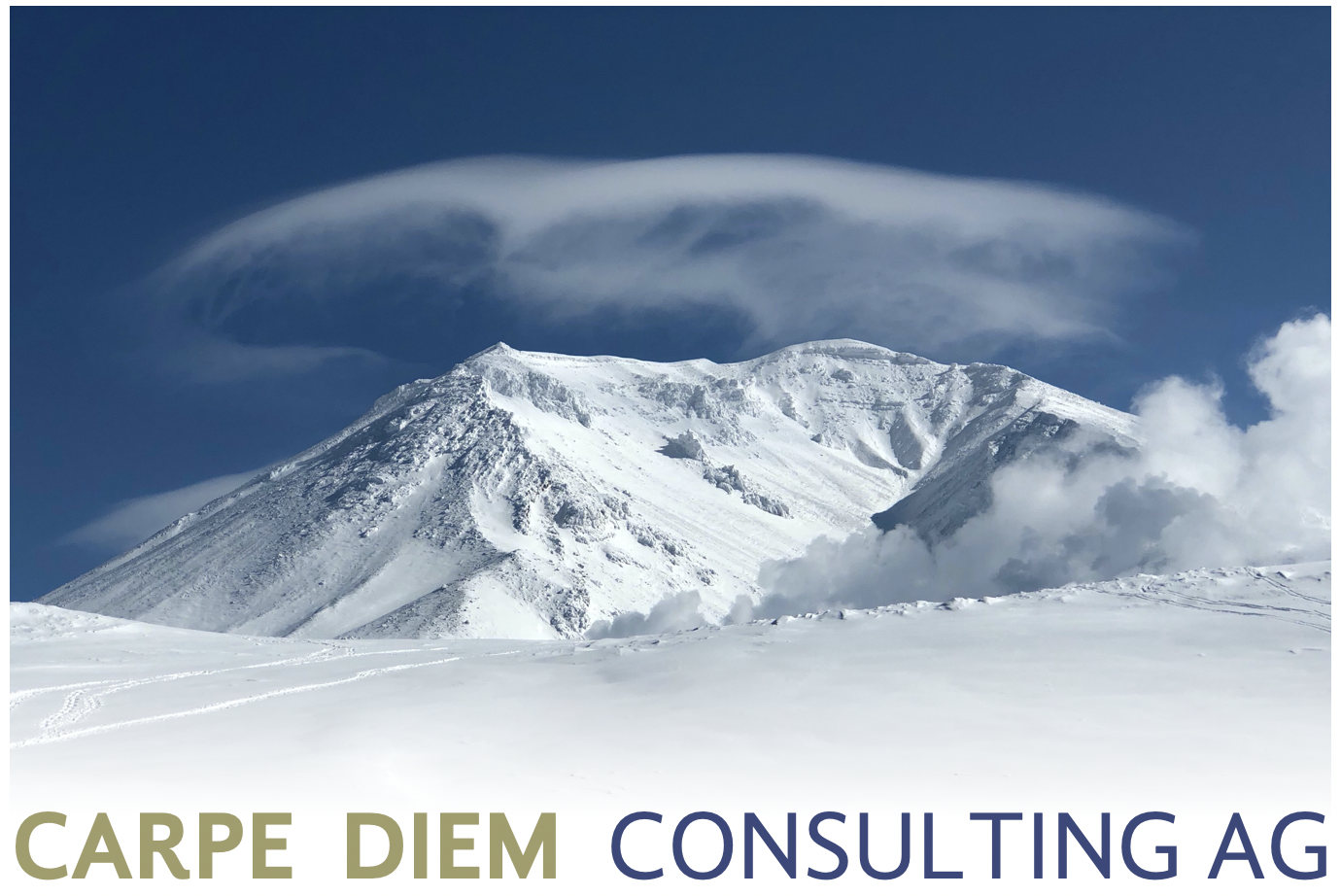 Carpe Diem Consulting AG