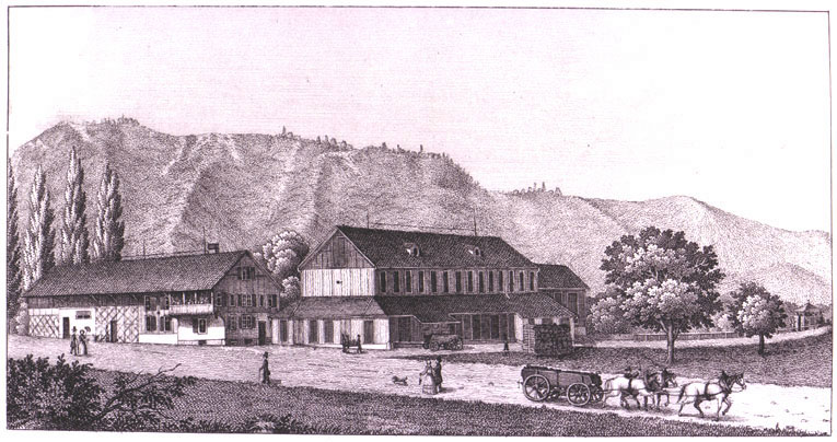 Ziegelei Albishof an der Uetlibergstrasse 1860