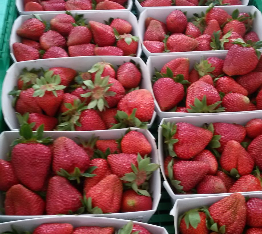 aromatische Erdbeeren und unsere frischen Frühkartoffeln