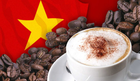Vietnam Coffee, Bohnen, Original 100% Vietnam Single Origin, 250 Gramm Bohnen