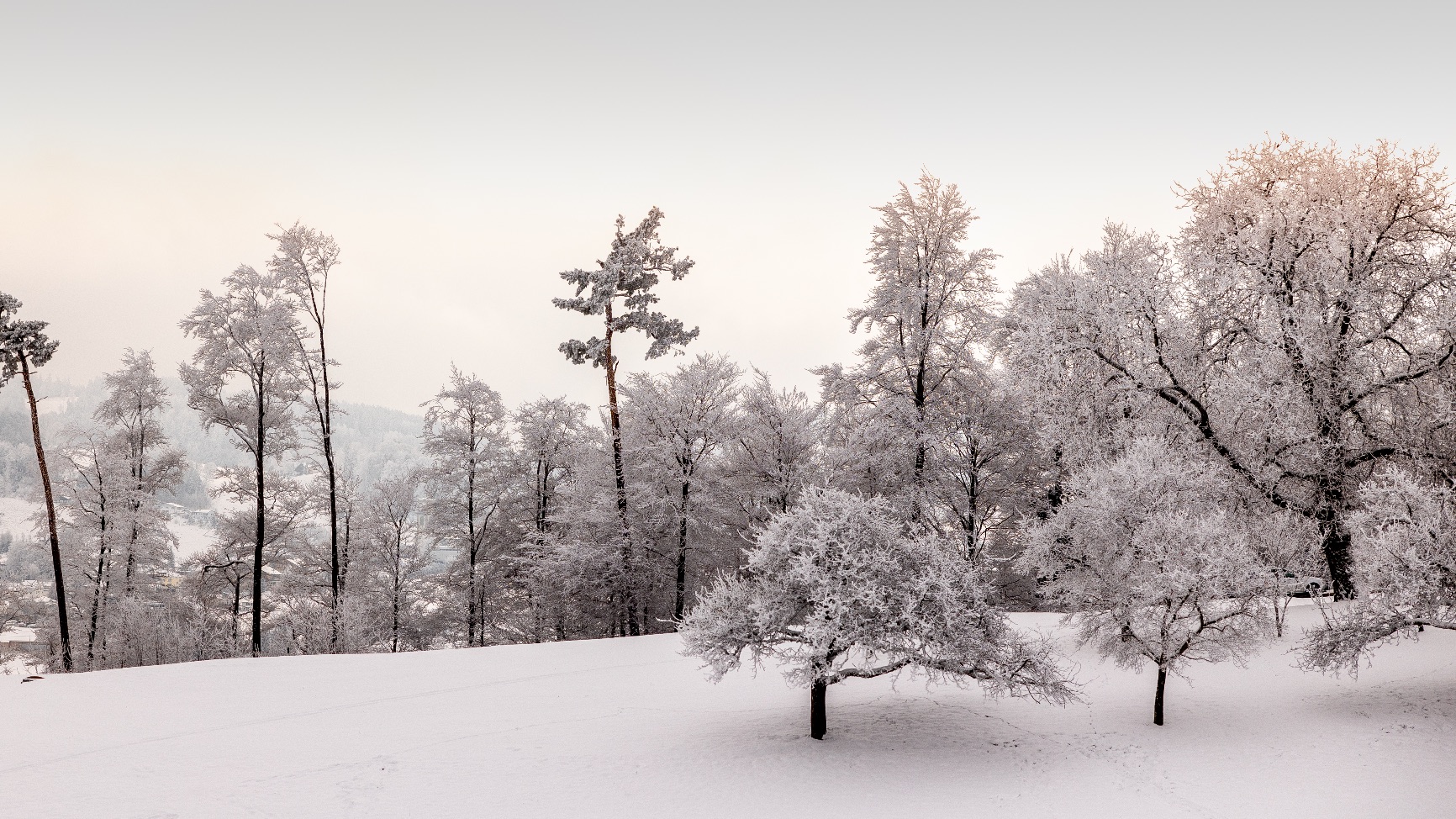 Winterlandschaft