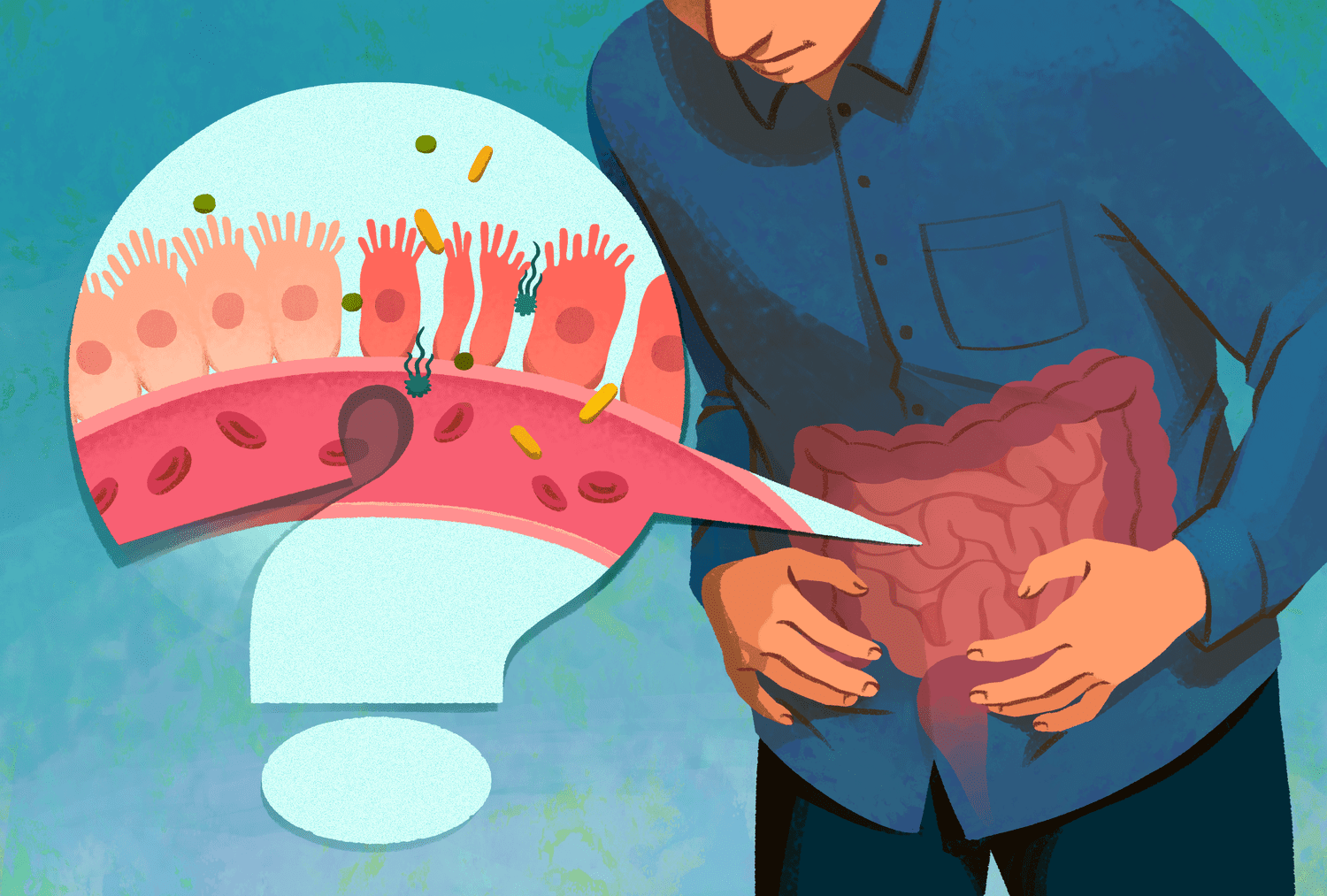 Leaky Gut Analyse: Deine Lösung für eine gesunde Darmbarriere