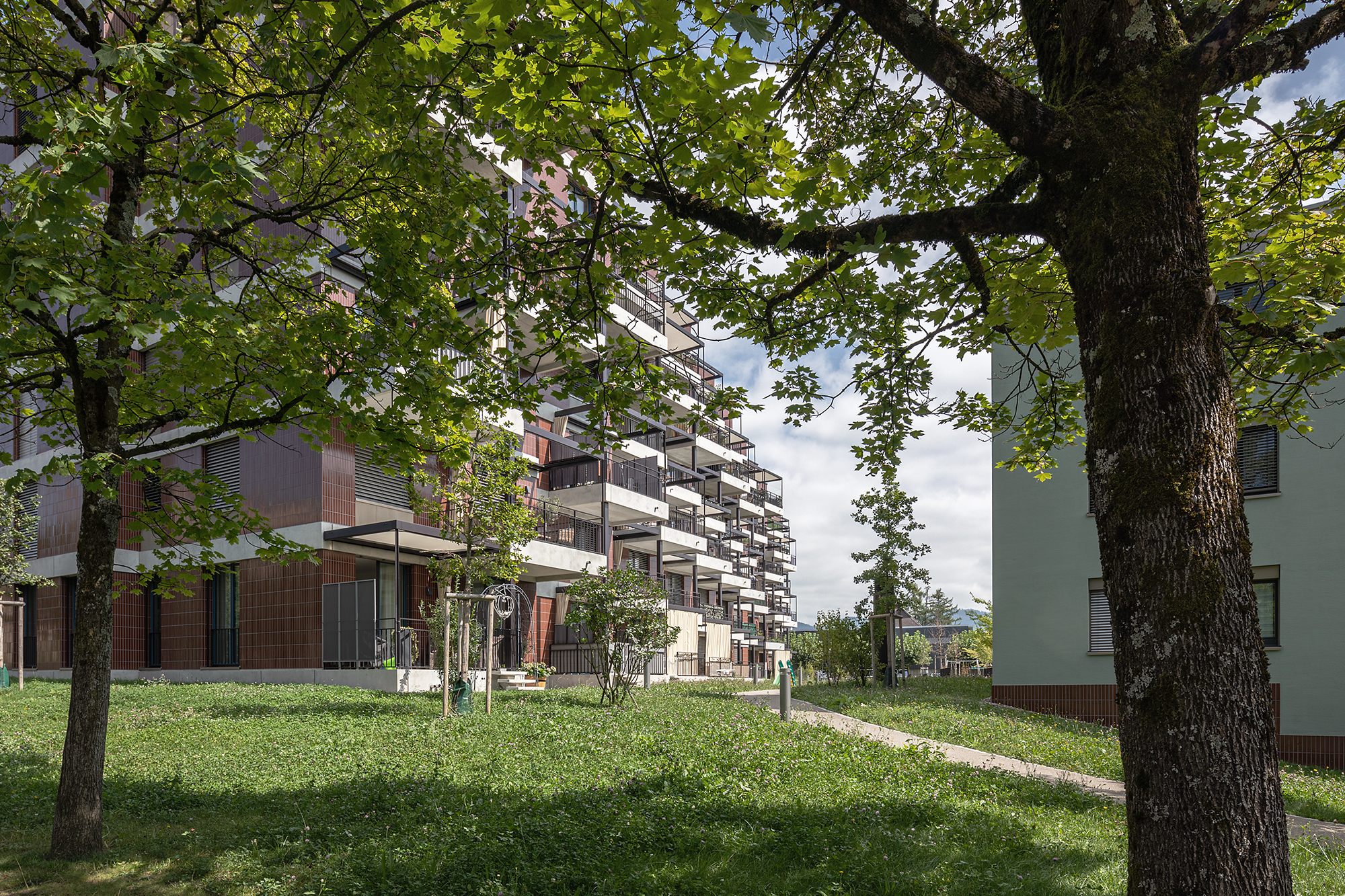 Siedlung Langfurren, Wetzikon - Galli Rudolf Architekten AG