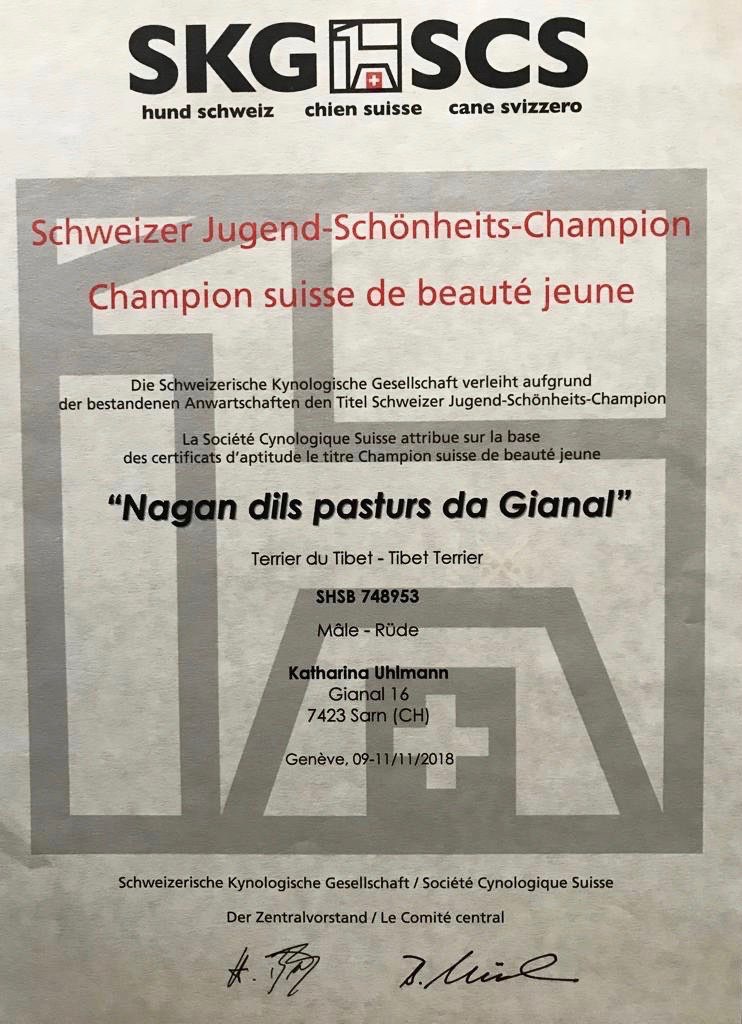 Nagan dils Pasturs da Gianal  Schweizer  Jugend Schönheits Champion  9. November 2018