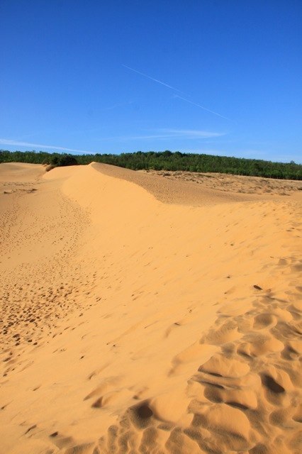 Red Sand Dunes