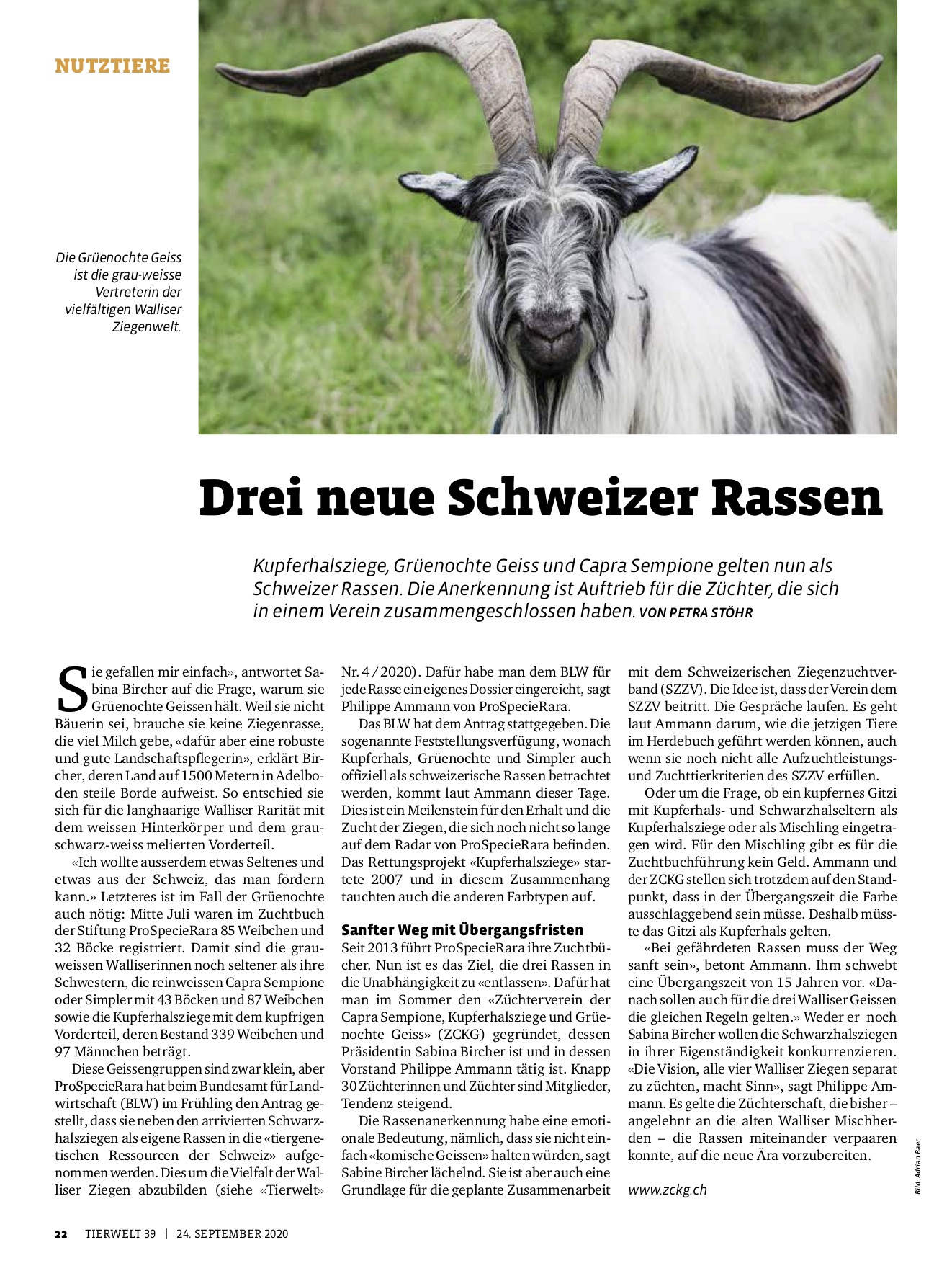 Tierwelt - Drei neue Schweizer Rassen _24092020 Kopiejpg