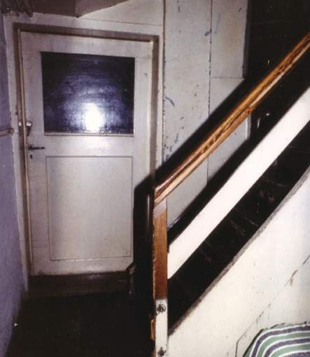 Treppe EG mit Türe zum Lagerraum