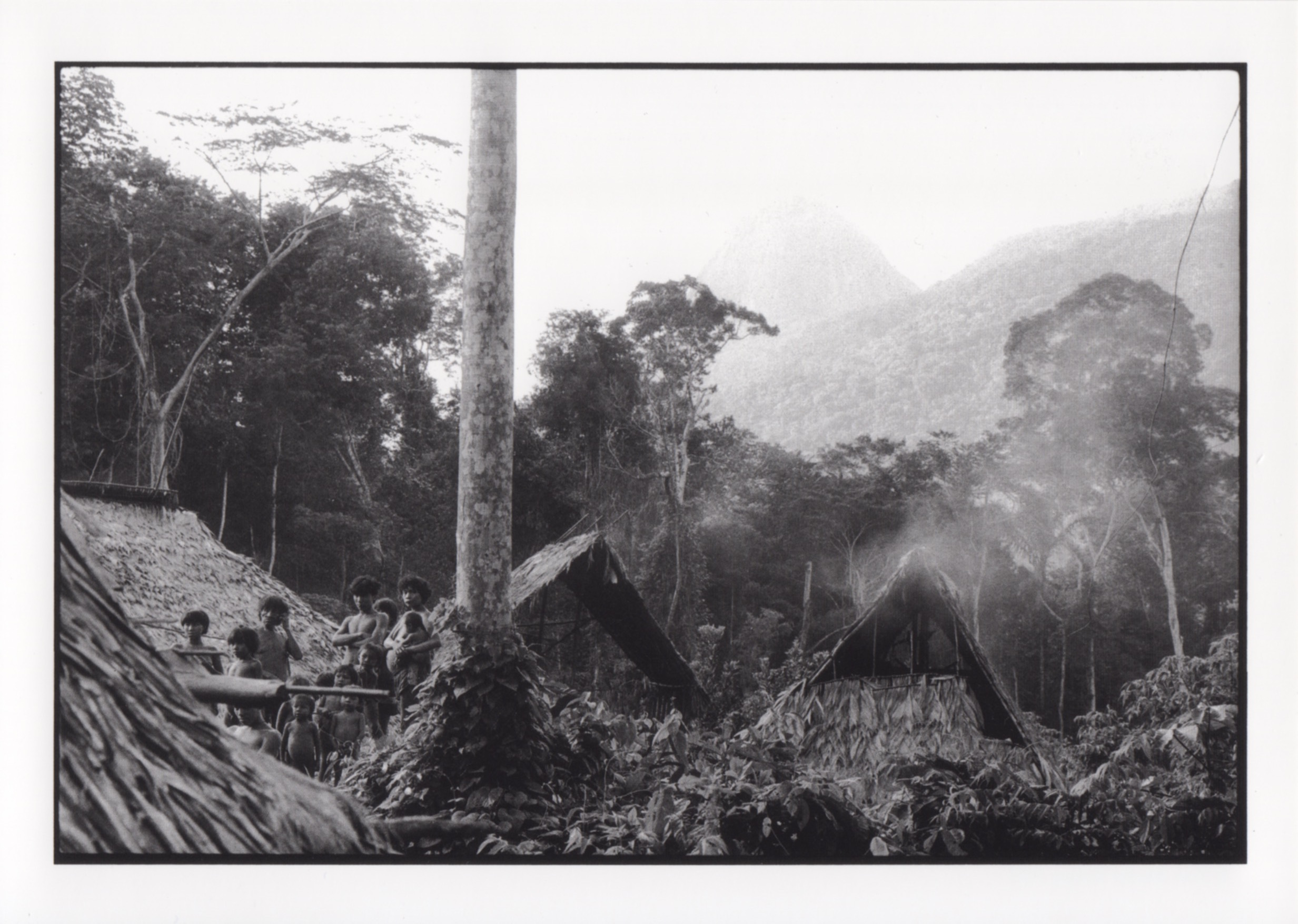 Yanomami, Oswald Iten