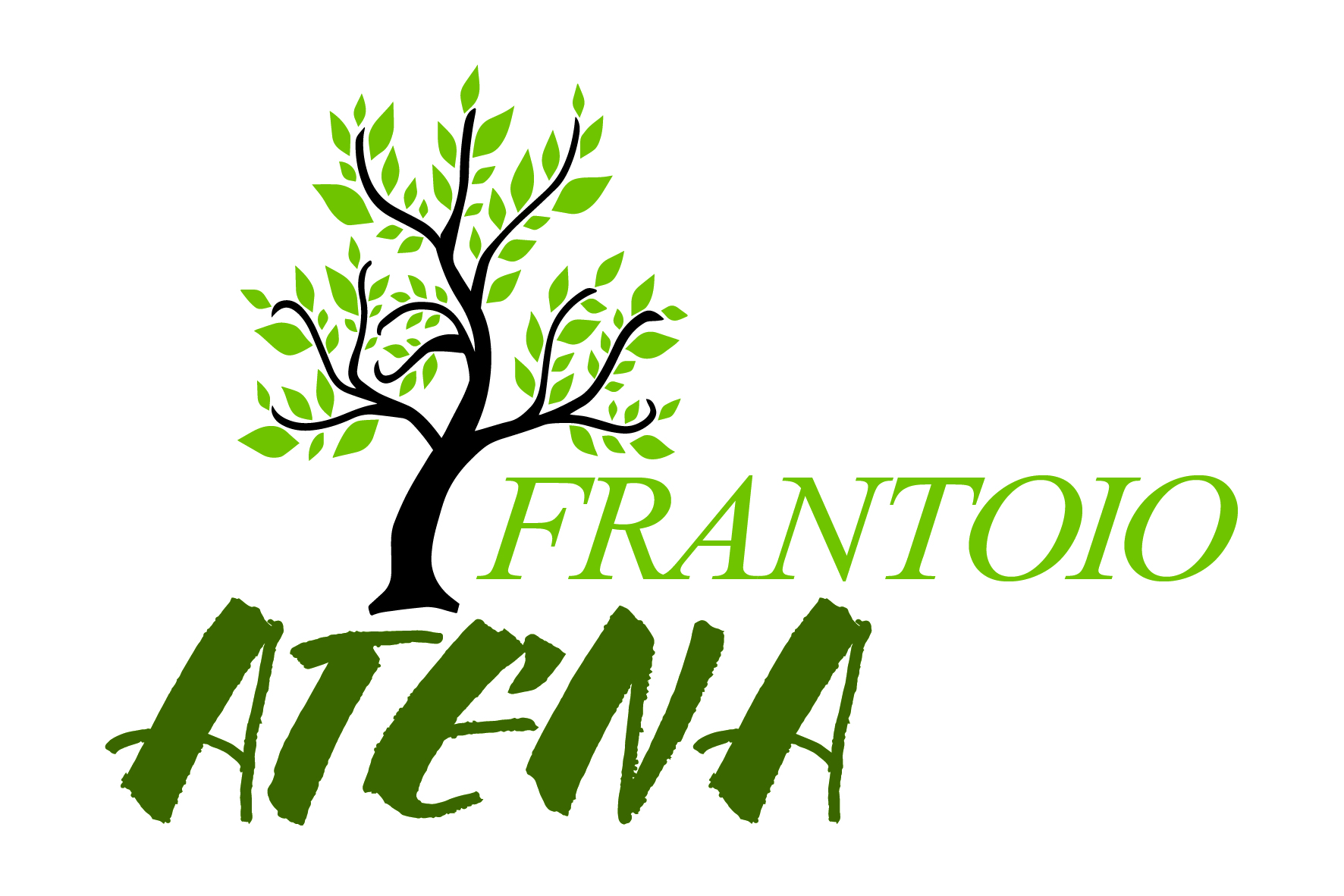 Frantoio Atena